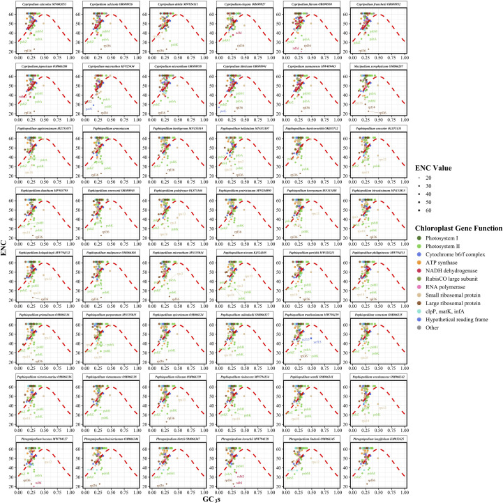 Figure 4