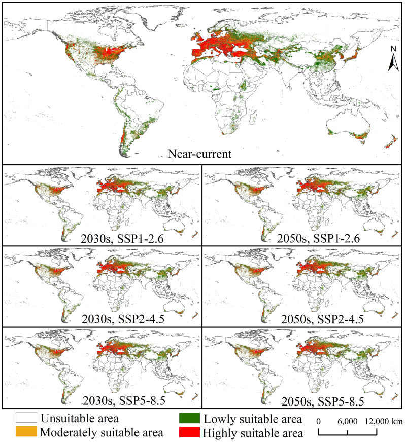 Figure 2