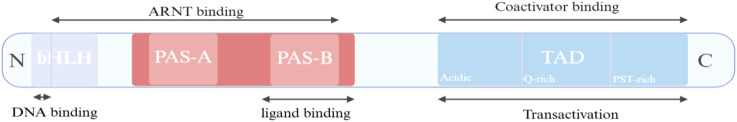 Figure 1