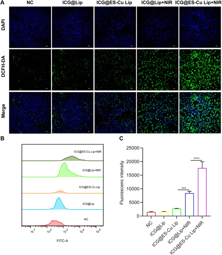 FIGURE 3
