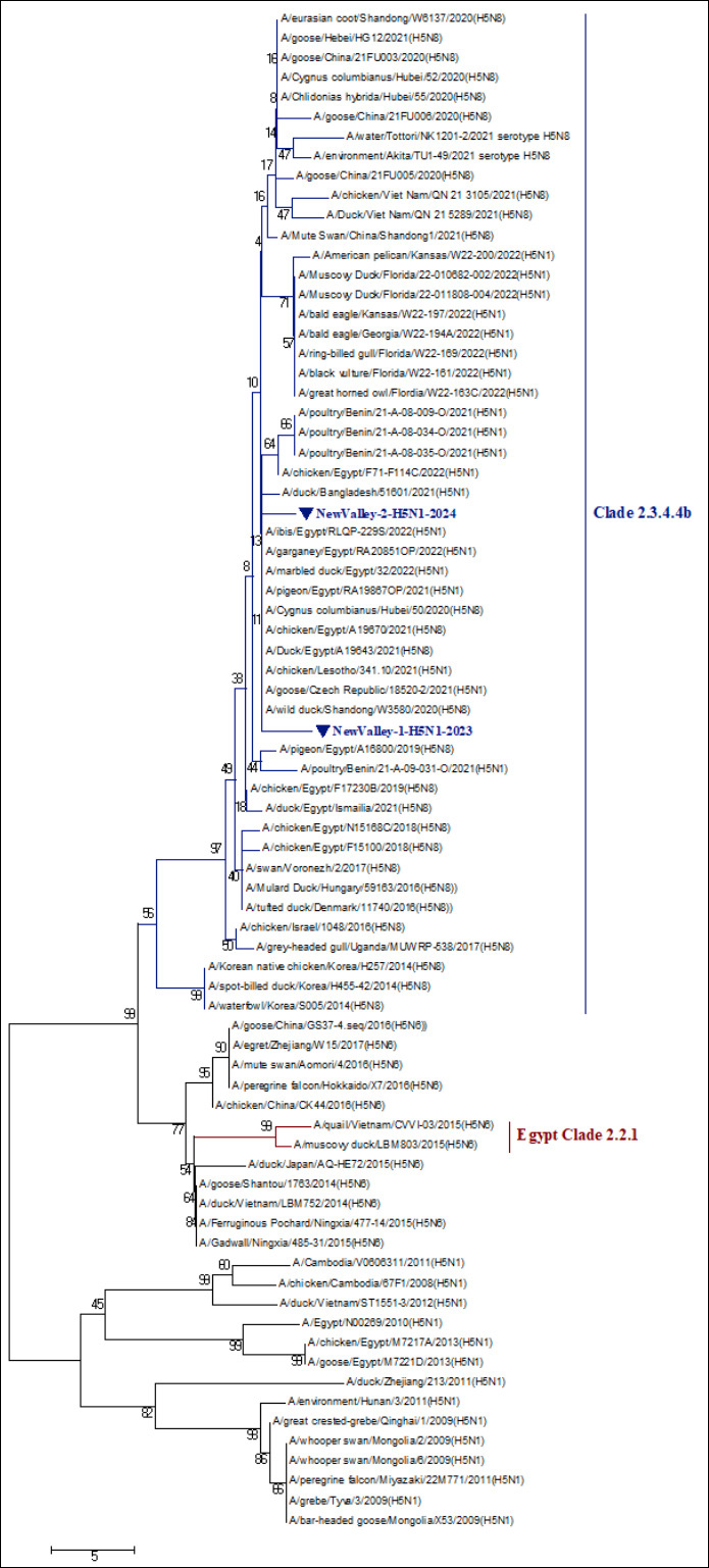 Figure 6