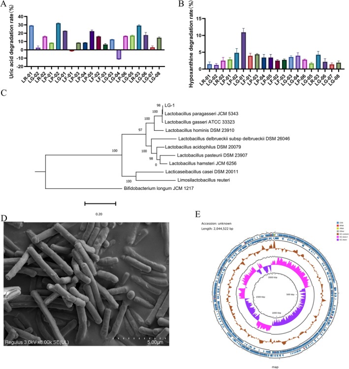 FIGURE 3