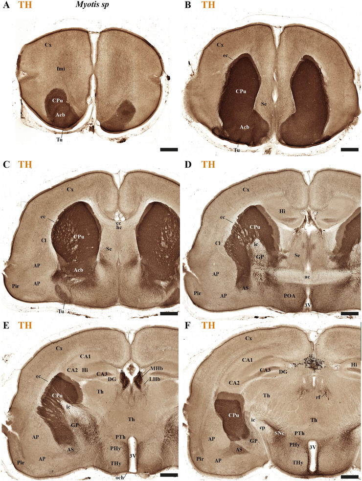 FIGURE 14
