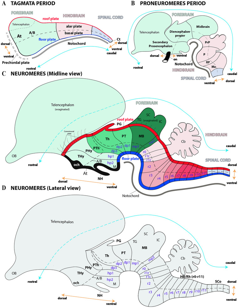 FIGURE 2
