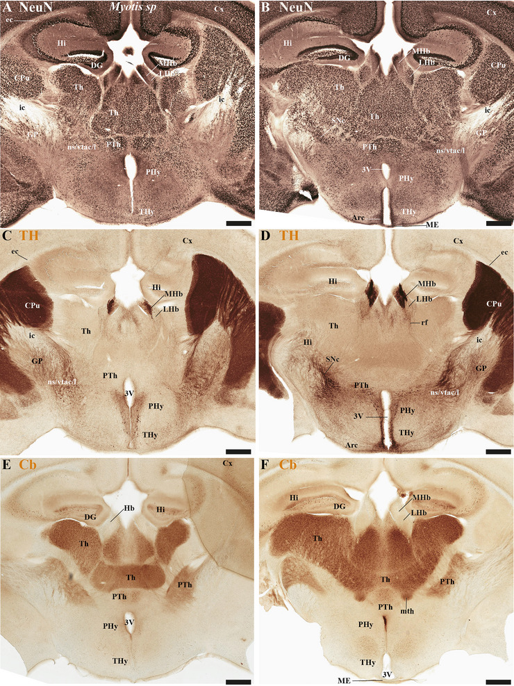 FIGURE 16