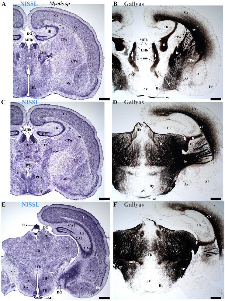 FIGURE 13