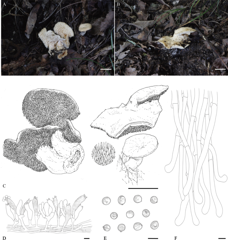 Figure 6
