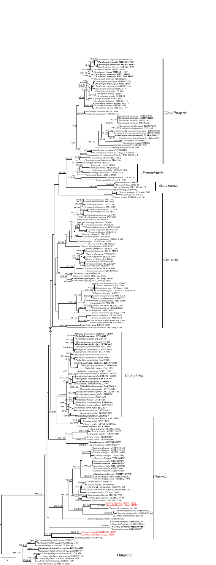 Figure 1
