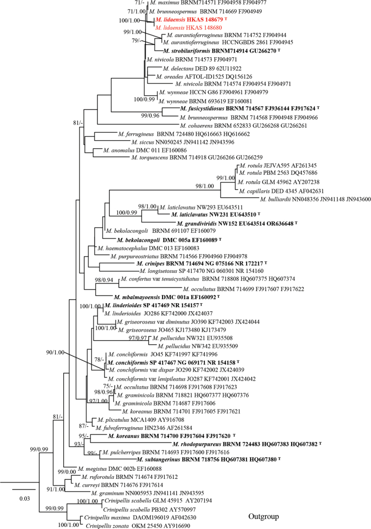 Figure 4