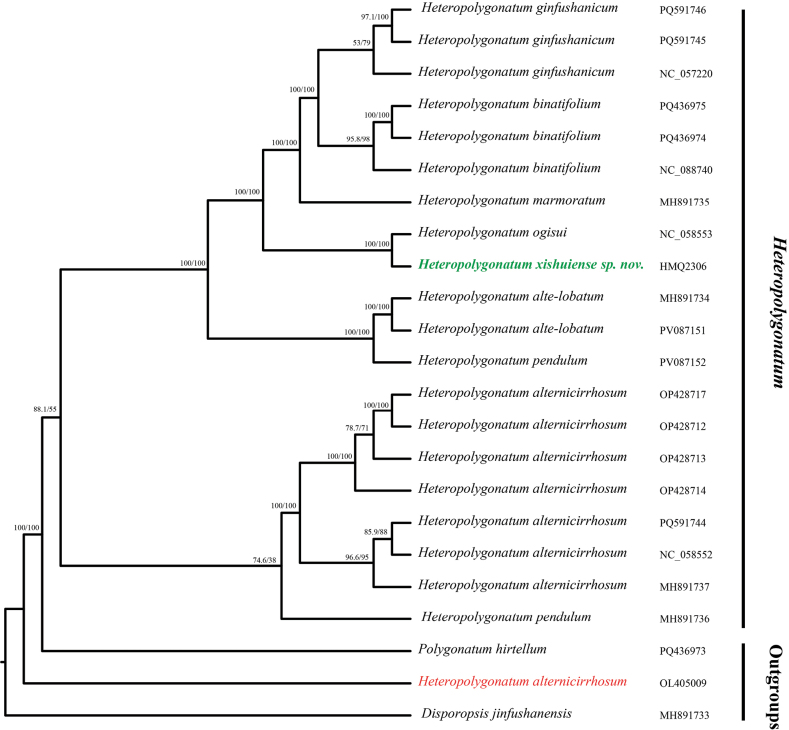 Figure 2