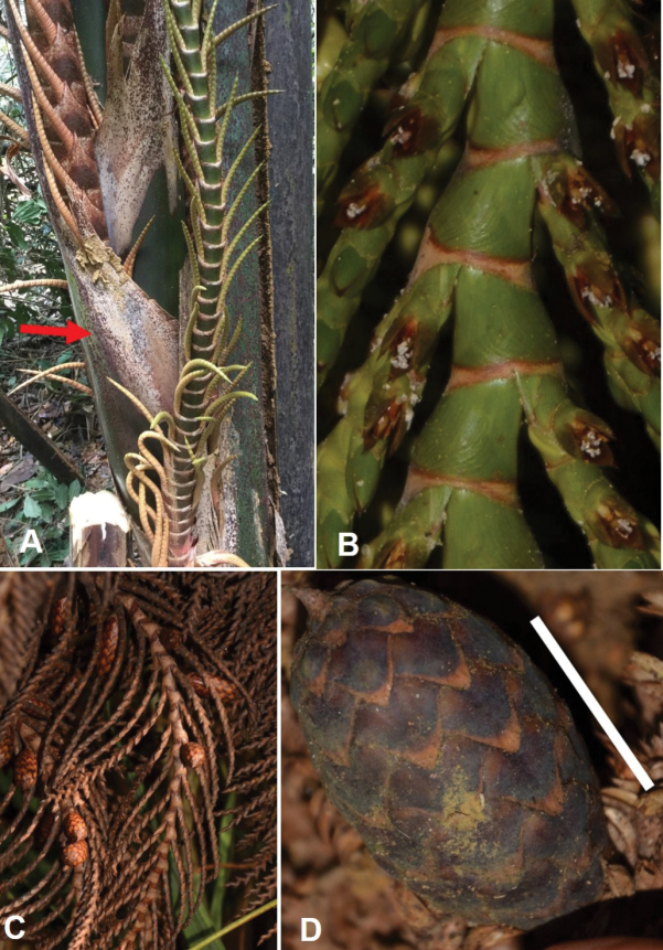 Figure 15