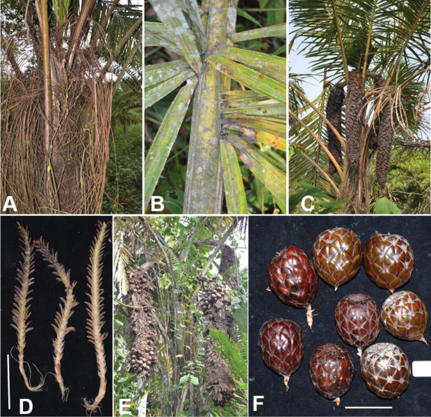 Figure 18
