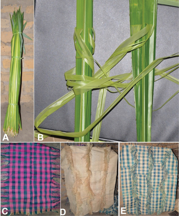 Figure 19