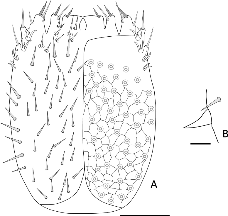 Figure 8