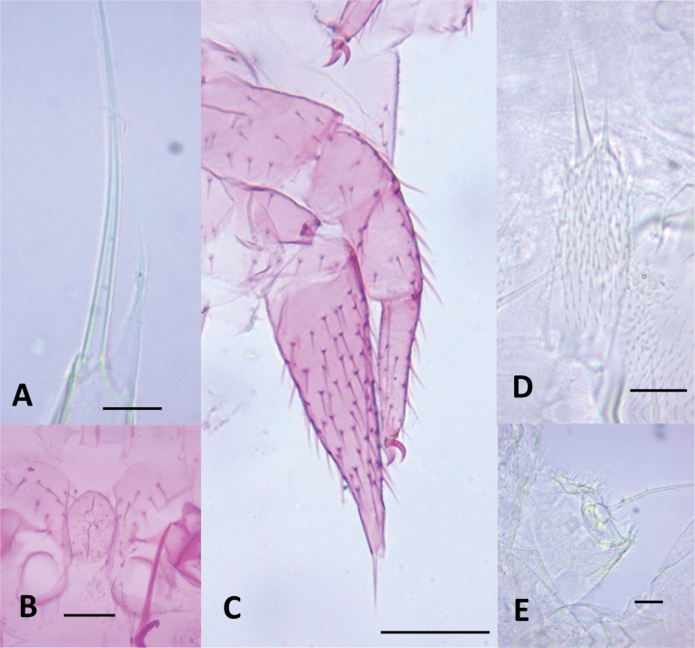 Figure 13