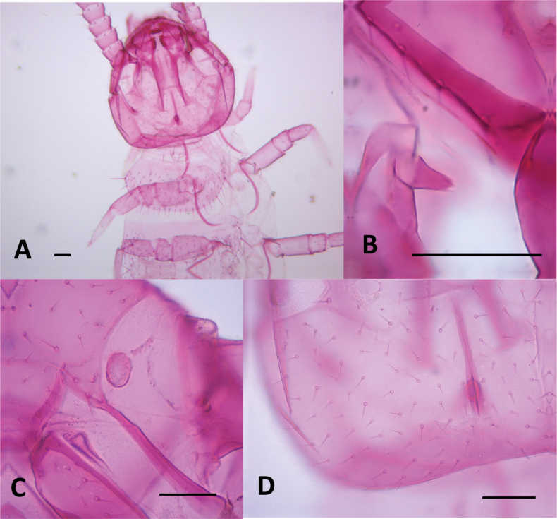 Figure 14