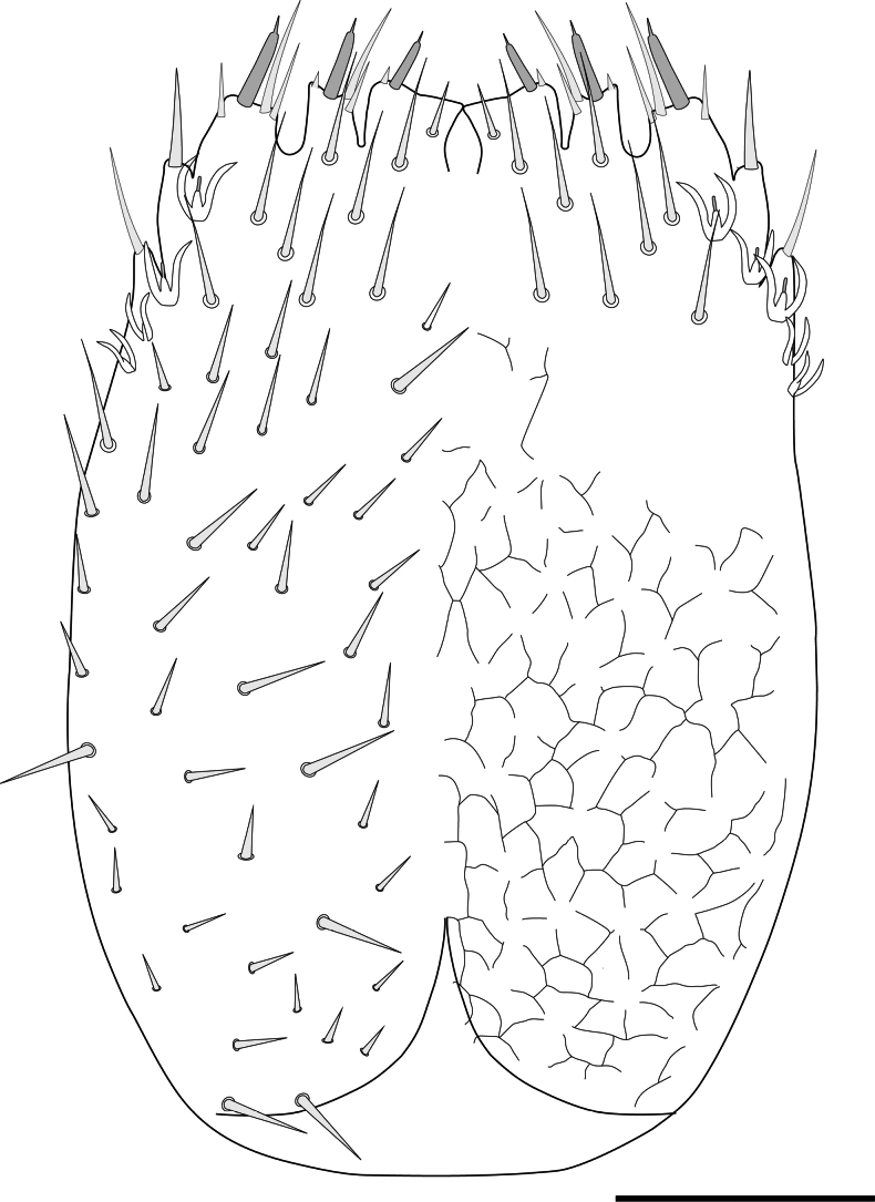 Figure 15