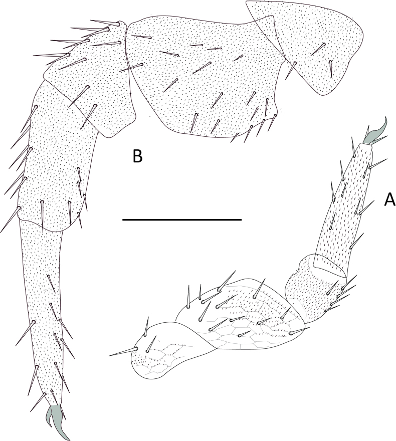 Figure 18