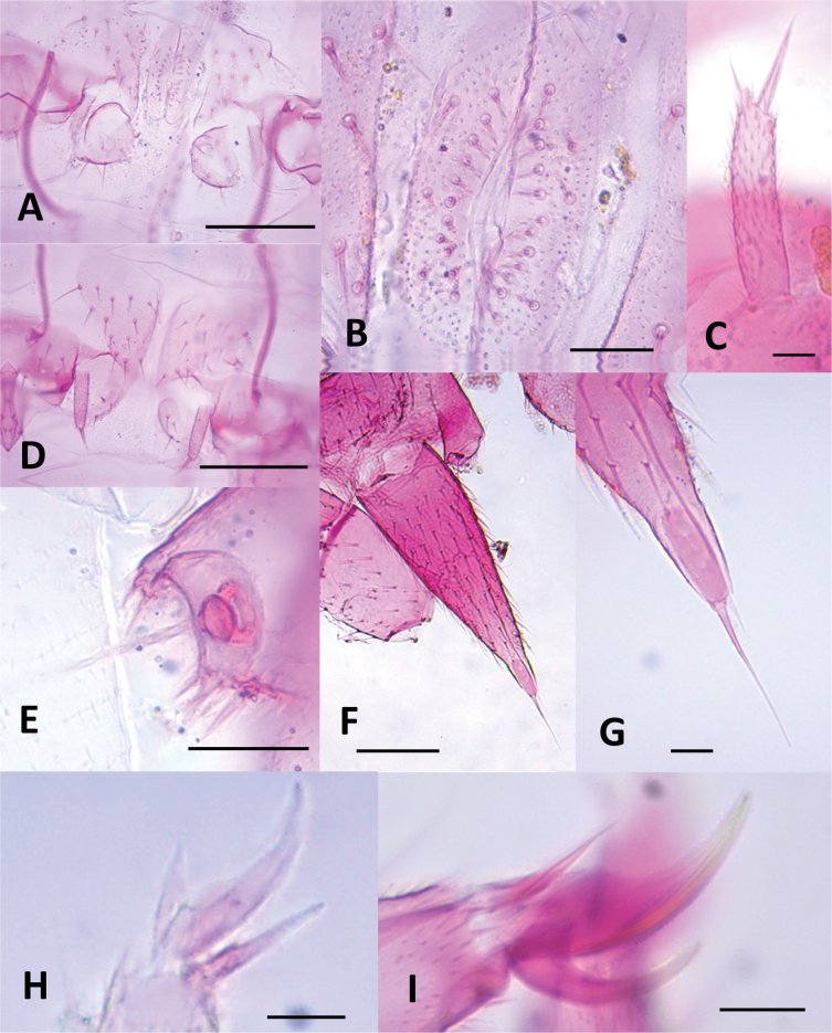 Figure 19