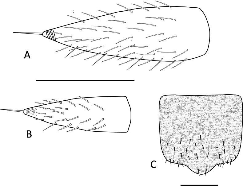 Figure 20