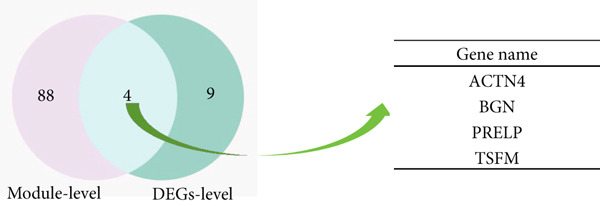 Figure 29