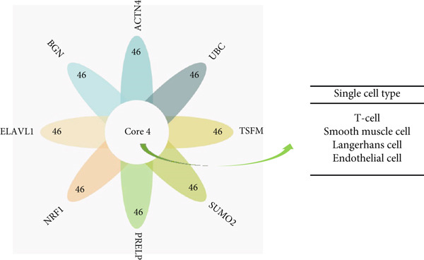 Figure 34