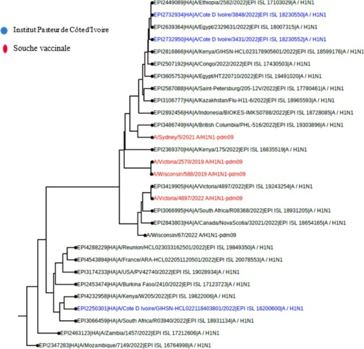 FIGURE 4
