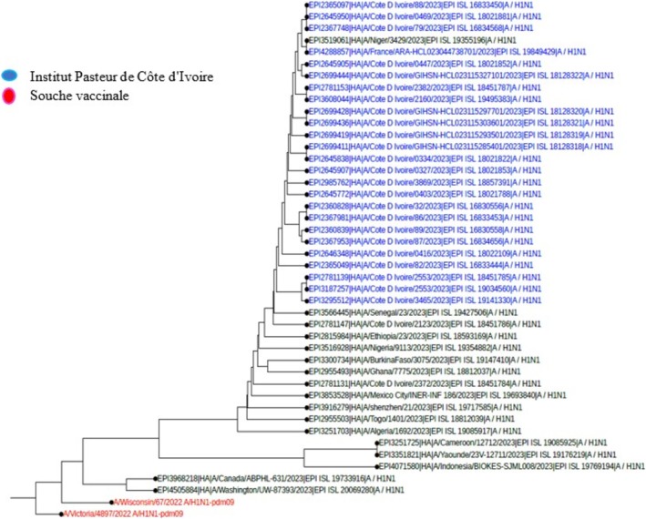 FIGURE 5