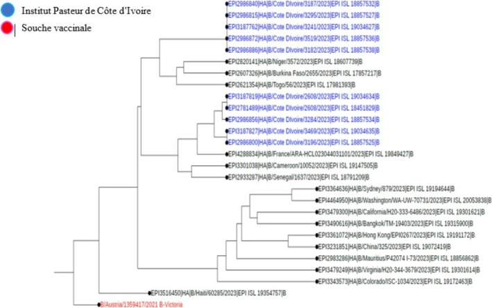 FIGURE 3