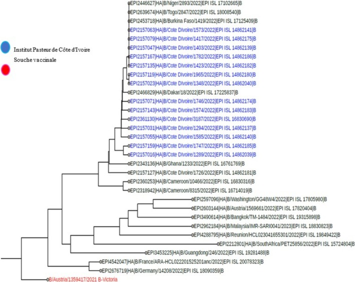 FIGURE 2