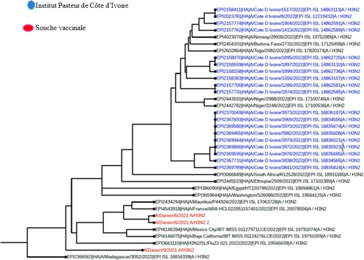 FIGURE 6