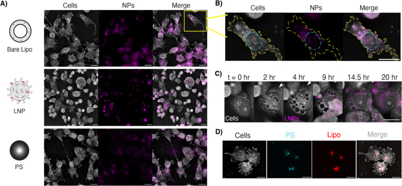 Fig. 3