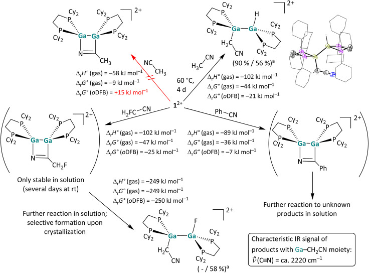 Scheme 5