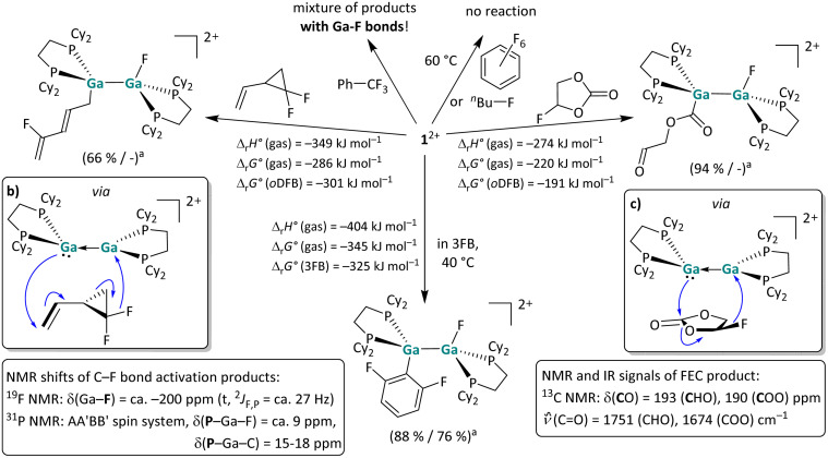 Scheme 6