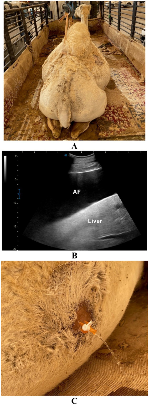 Figure 10