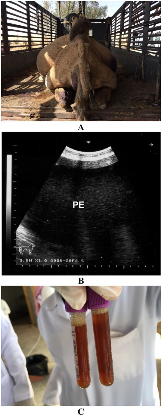 Figure 15