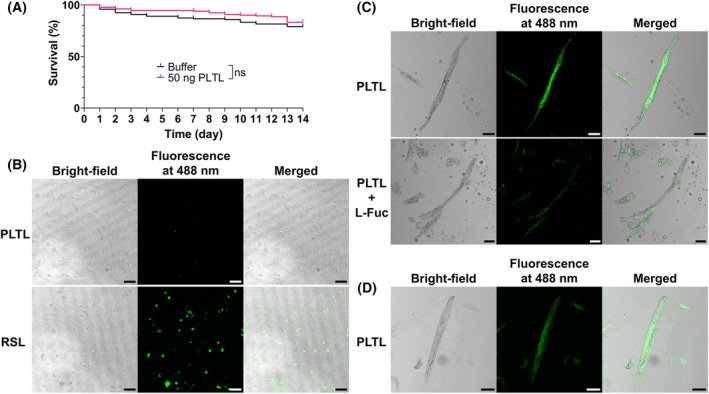 Fig. 9