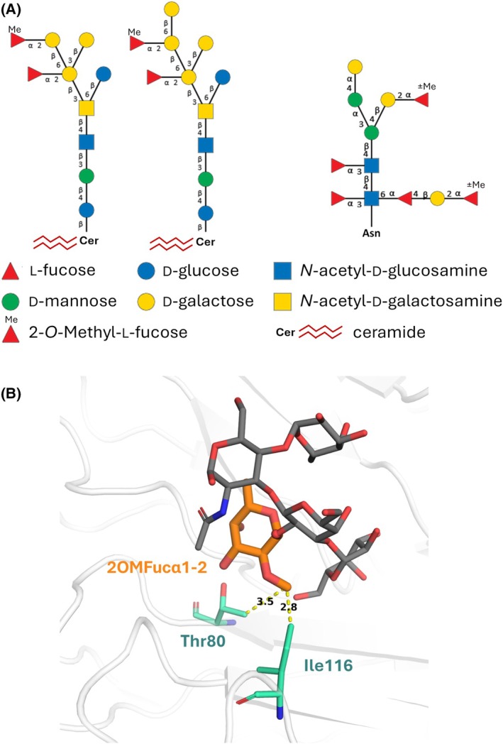 Fig. 12
