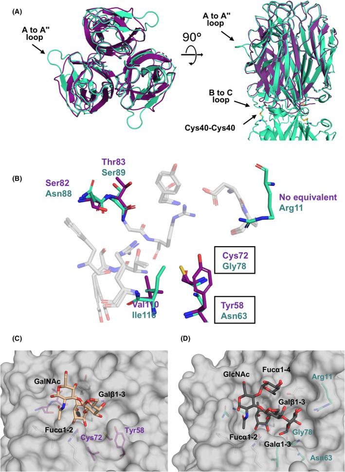 Fig. 11