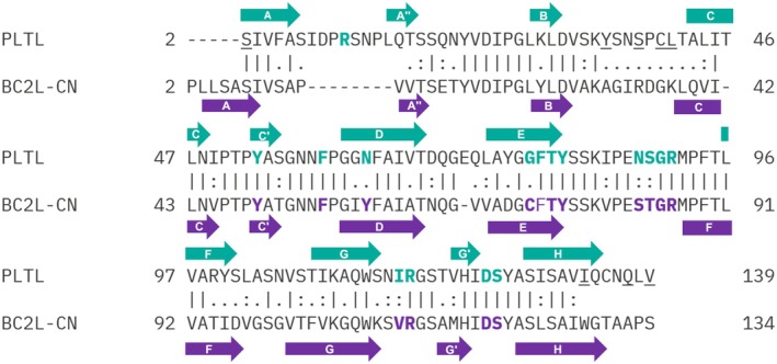 Fig. 10
