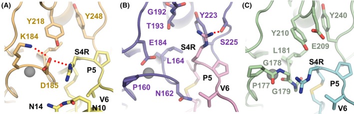 Fig. 6