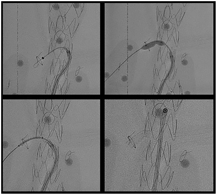 Figure 6