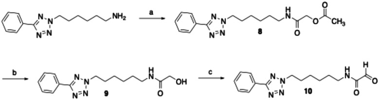 Scheme 1