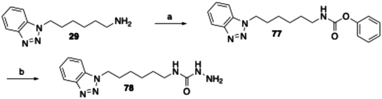 Scheme 6