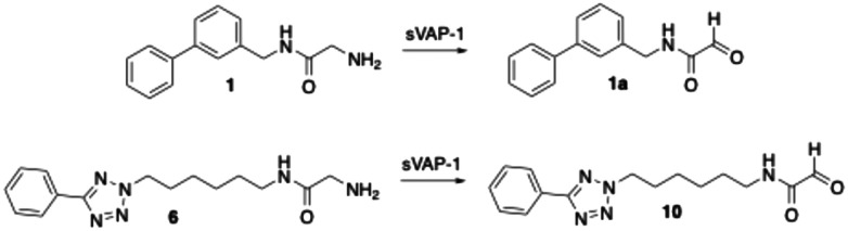 Scheme 8
