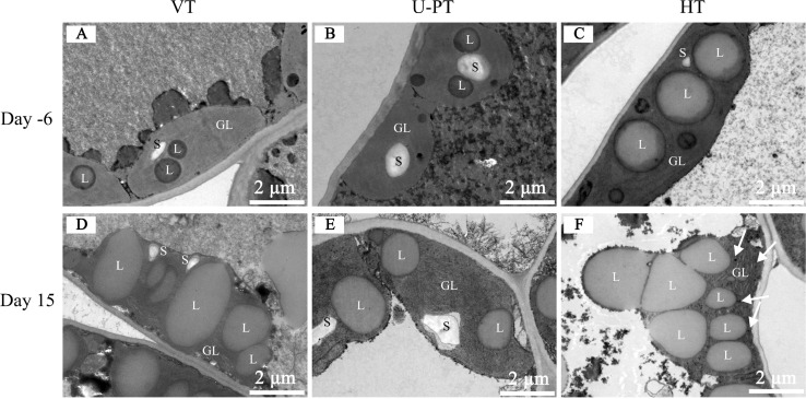 Figure 6