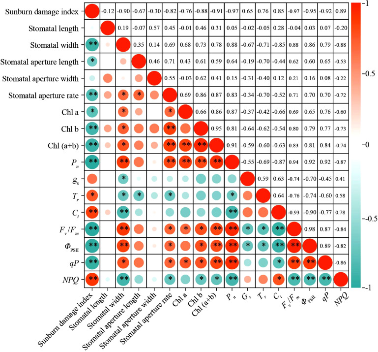 Figure 11