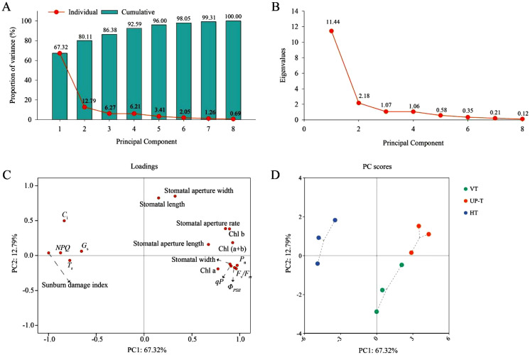 Figure 12