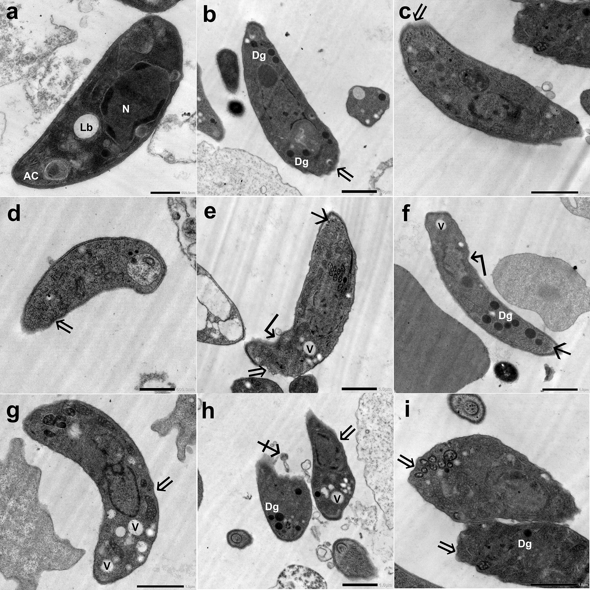 Figure 9