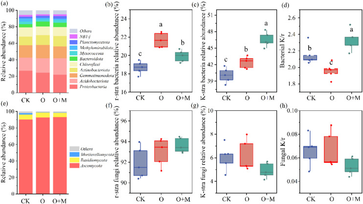 Figure 5